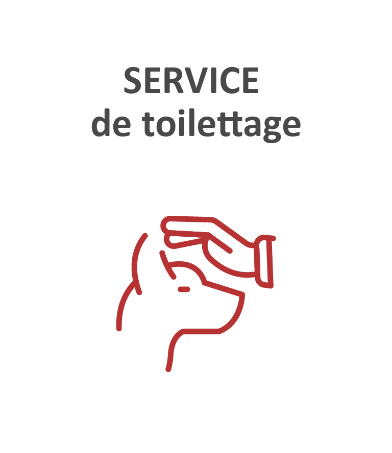 Service de toilettage
