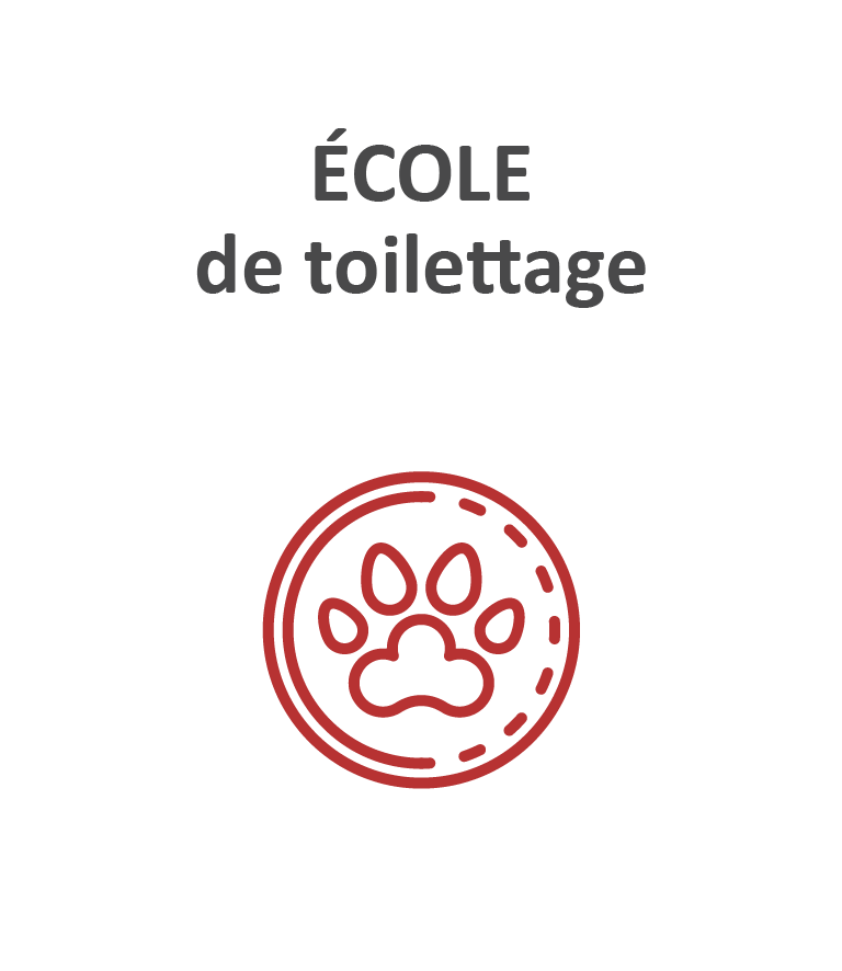 École de toilettage