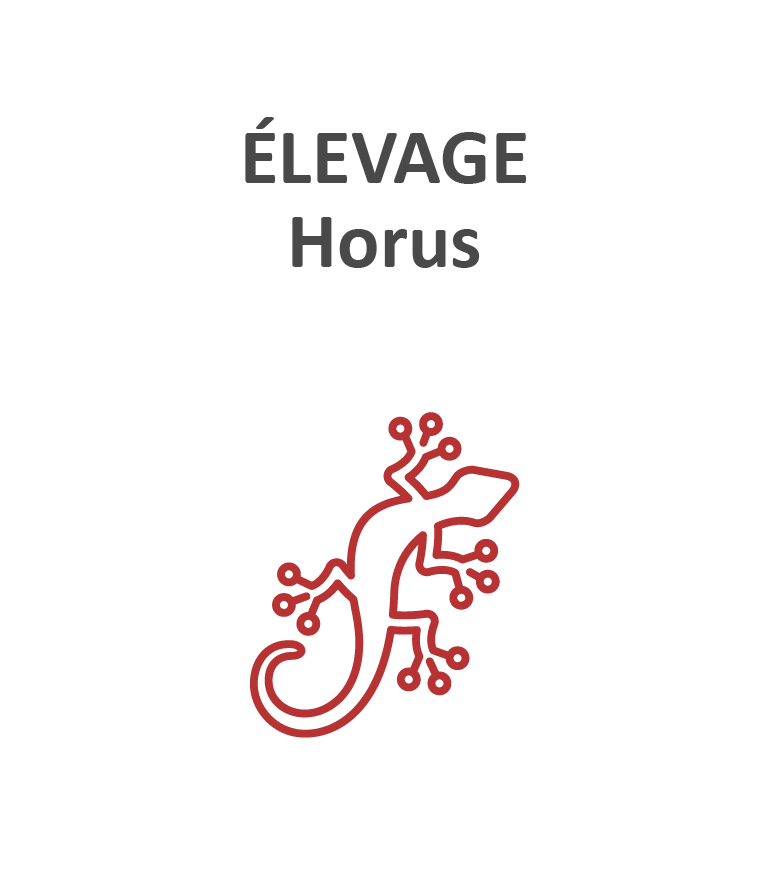 Élevage Horus