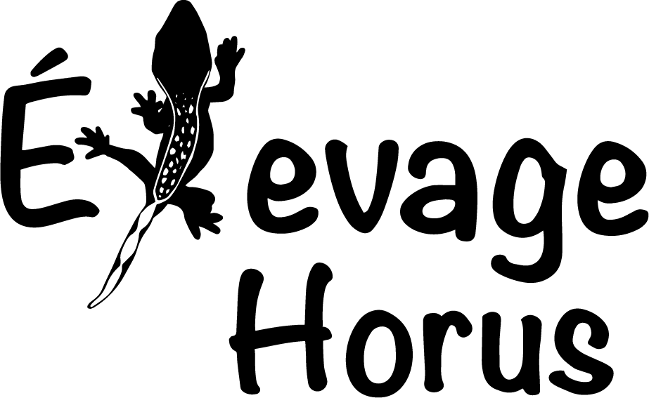 Logo Élevage Horus